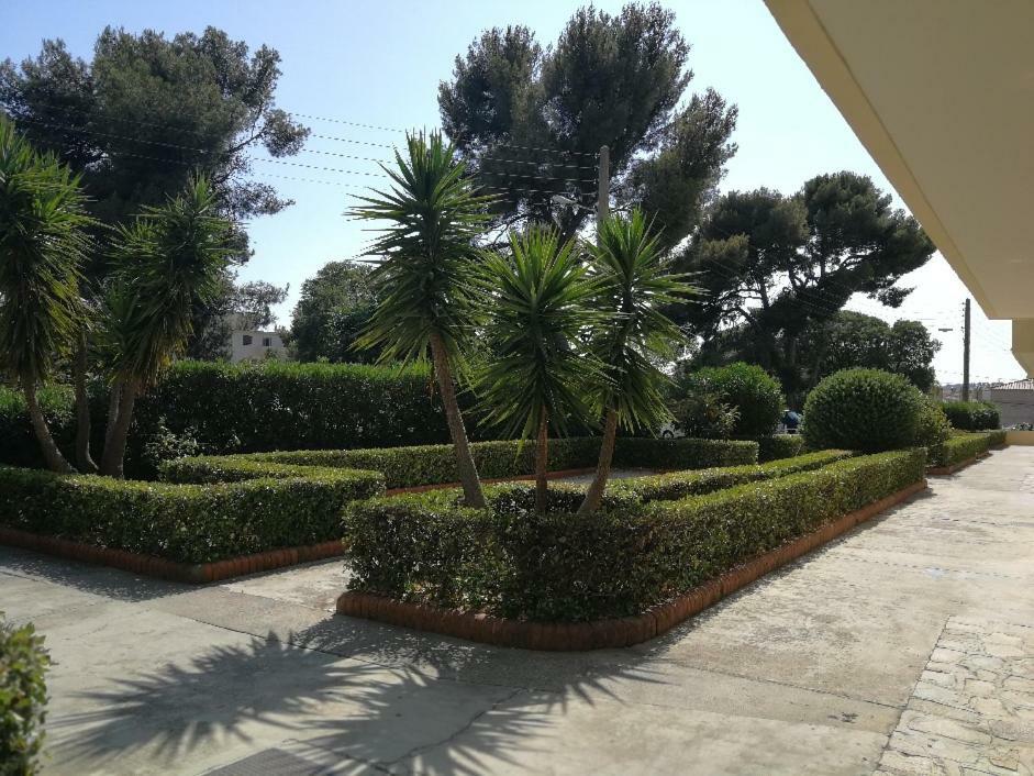 Apartamento T2 avec loggia fleurie et ensoleillée Tolón Exterior foto